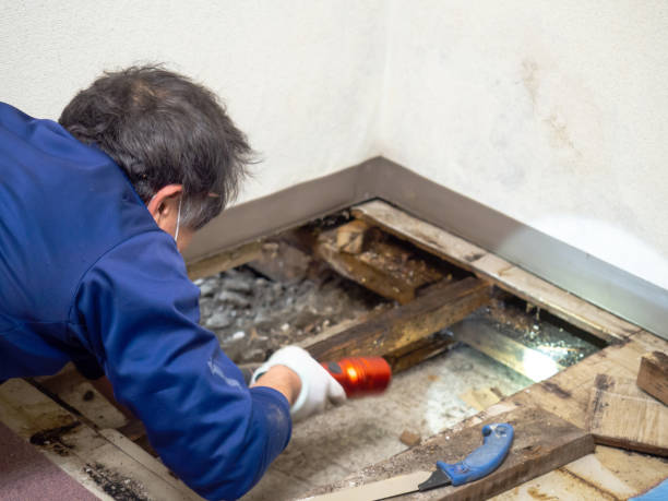 Best Water Damage Restoration  in Barre, VT