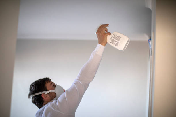 Best Professional Mold Removal  in Barre, VT