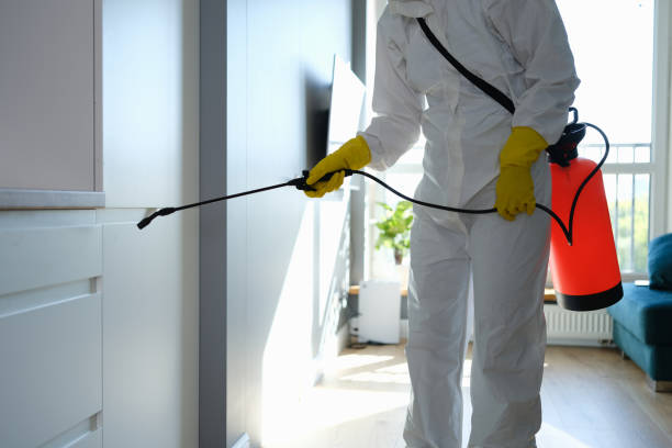 Professional Mold Removal in Barre, VT