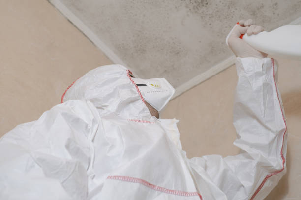Best Office Mold Removal Services  in Barre, VT