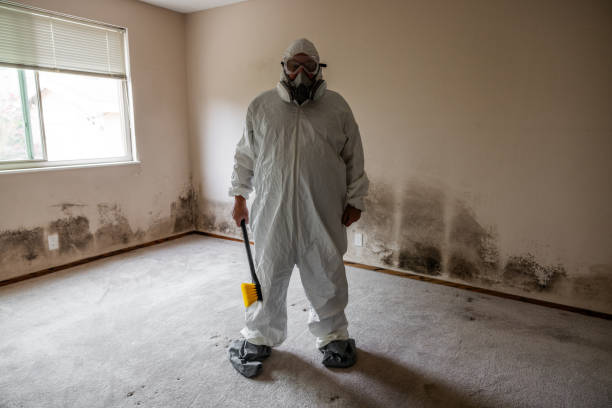 Best Affordable Mold Removal  in Barre, VT