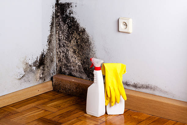 Water Damage Restoration in Barre, VT